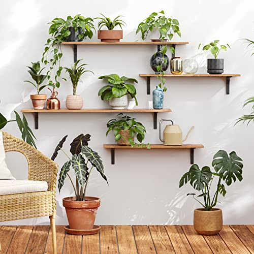 DINZI LVJ Long Wall Shelves, 23.6Inch Wooden Wall Mounted Shelves, Set of 2 - color: Rustic Brown, size: 23.6 Inch