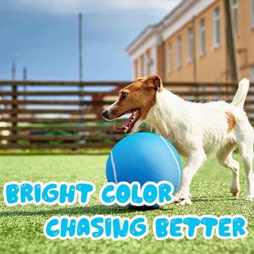 Banfeng Giant Tennis Ball for Dogs, 9.5" Large Outdoor Doy Sport Ball Gift - color: Sky Blue