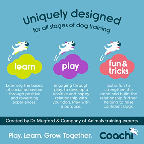 Coachi Tuggi Spider - Interactive Dog Toy for Tug of War & Play - style: Tuggi Spider