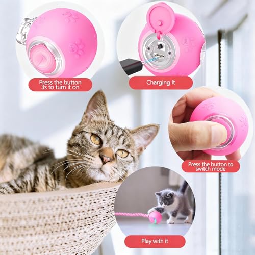 Speed 2.0 Tail Interactive Cat Toys, Rechargeable Ball for Indoor Cats - color: Pink