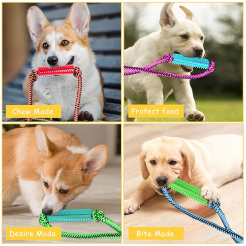 Interactive Dog Toys，Crate Training Aids for Puppies，Green - color: Green