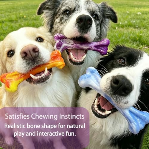 3 Pack Dog Chew Toys for Aggressive Chewers, Tough Bone