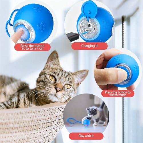 Speed 2.0 Tail Interactive Cat Toys, Rechargeable Ball for Indoor Cats - color: Blue tail