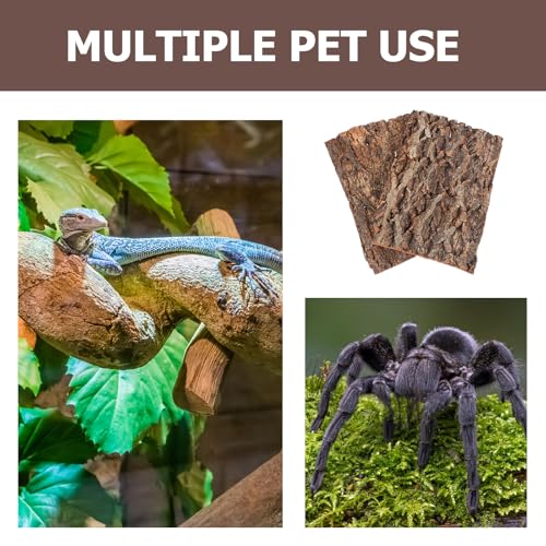 Toyvian Terrarium Tree Bark Reptile Platform 2 Pack Natural Cork Bark Habitat Decor for Climbing Basking Resting Bearded Dragons Lizards Turtles Small Pets