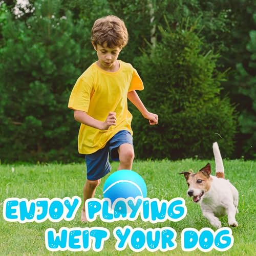 Banfeng Giant Tennis Ball for Dogs, 9.5" Large Outdoor Doy Sport Ball Gift - color: Sky Blue