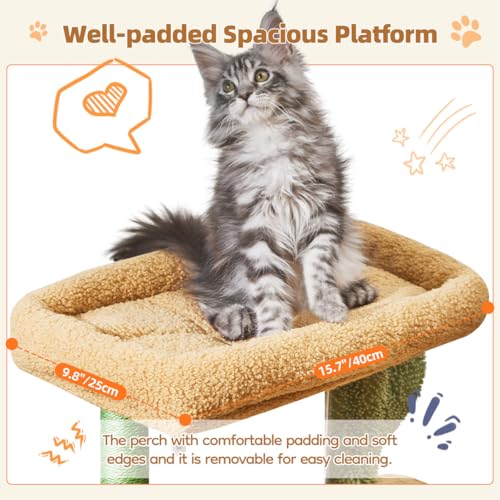 Taoqimiao Cactus, Cat Tree, 38.5In Cat Tower for Indoor Cats, for Kittens - color: Cactus, size: 38.5 Inches