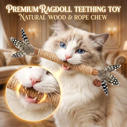 Cat Chew Toys Silvervine Sticks Dental Treat Feather 3Pack Indoor - size: Pro-3 Pack