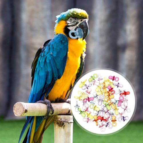 Milisten 50pcs Parrot Bird Chew for Parrots Cockatiels DIY Bird Cage Ornament Bite Chewing Plaything for Small Birds