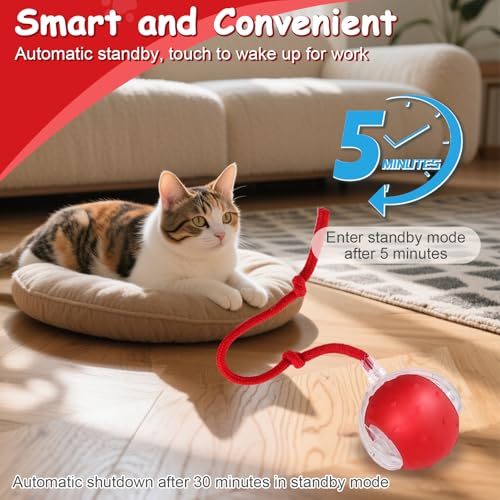 Interactive Cat Toys Smart Ball for Cats & Dogs! Now with 2 Rapid Tails. Features: 360°Auto-Rolling, Motion Activation& Bird Sounds. Perfect for Indoor Pet Exercise & Fun. (Blue) - color: Blue