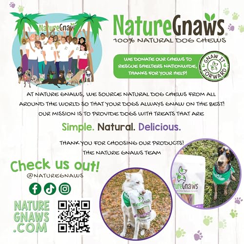 Nature Gnaws USA Turkey Tendons Dog Treats, 4 oz - size: 4 Ounce (Pack of 1), style: Tendons