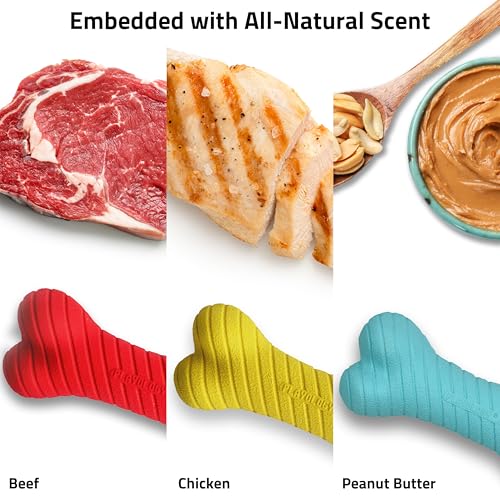 Playology Dual Layer Bone Bone Dog Chew Toy Box - Medium, Variety of Scents - style: Dual Layer Bone Box