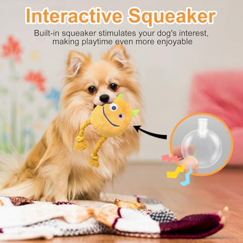 lilfrd 2 Pack Squeaky Rope Plush Dog Toys for Small Medium Puppies - style: Monster