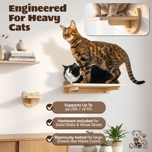Snuggle & Play Cat Wall Shelves & Climbing System – Modern Furniture Set with 3 Steps & Perch for Indoor Cats, Includes Wand Toy