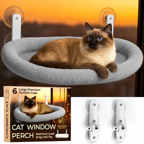 Cat Window Perch – Strong 6 Suction Cup Foldable Cat Hammock Bed for Large Cats and Kittens That Holds up to 50 lbs with Washable Reversible Cover, Sturdy Metal Frame for Window (Gray) - color: Gray
