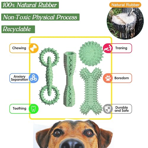 Puppy Teething Toys Rubber Bone Molar Ball Interactive Donut Treat Dumbbell - color: Green, size: Small