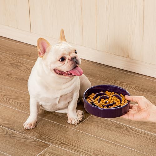 vancasso Slow Feeder Dog Bowl, 0.6 Cups Ceramic Small Puzzle Dog Food Dish - color: Dark Purple, size: S - 0.6 Cups