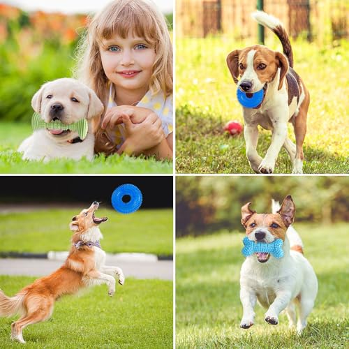 3-Pack Puppy Chew Toys for Teething Relief – Soft & Durable Rubber Toys for Small & Medium Puppies, Includes Squeaky Donut, Bone & Food-Dispensing Toys for Teeth Cleaning & Oral Health
