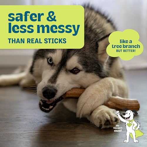 Pupstages Super Dogwood Stick Dog Chew Toy, Made in USA, Medium, 9.5" - size: Medium (Pack of 1)