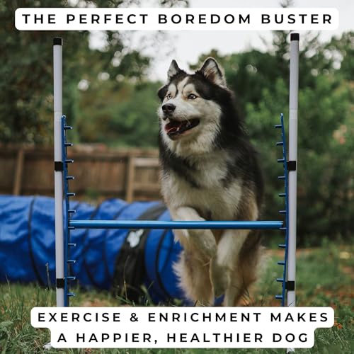 Better Sporting Dogs 4 Pack Adjustable Dog Agility Jumps