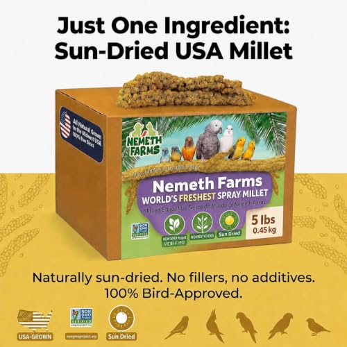 Nemeth Farms Spray Millet - Edible Tops Only, Non-GMO and Sun-Dried - 5 lbs for Parakeets, Conures and Cockatiels - size: 5 Pound (Pack of 1)