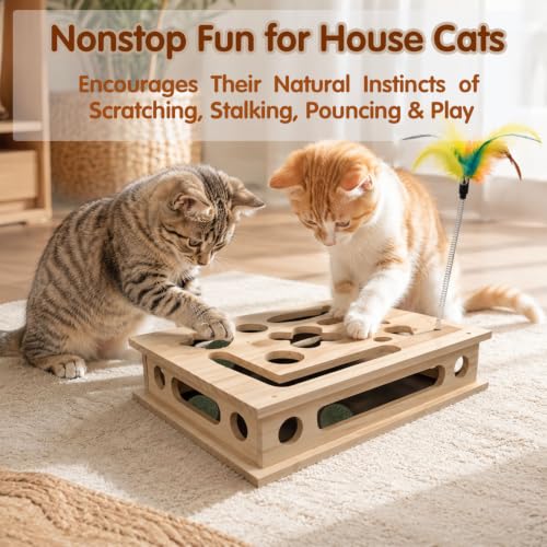 Cat Scratch Puzzle Enrichment Box