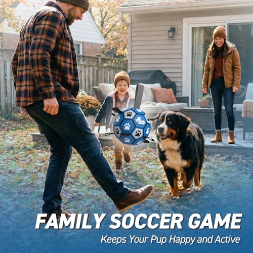 QDAN Extra Large Dog Toy Soccer Ball, Durable Dog Balls with Straps, 9 Inch - color: Blue Gray, size: Extra Large Size 5 (9 Inch)