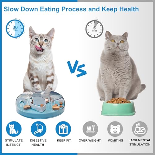Interactive Cat Treat Puzzle Enrichment Toys, Sky Blue - color: Sky Blue