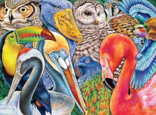 Buffalo Games - Bird Bonanza - 1000 Piece Jigsaw Puzzle for Adults