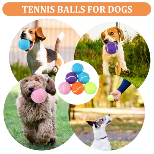 20Pcs Small Tennis Balls for Dogs, 2 Inch Mini Dog Training Tennis Balls