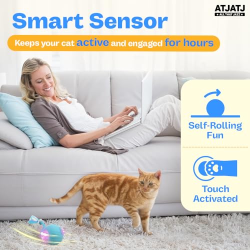 Interactive Cat Balls Toys for Indoor Cats, Automated Smart Ball Cat Toy with Elastic Mesh Tail, 3-Speed Rechargeable Rolling Kitten Toy, Electronic Mental Stimulating Self Play Pet Ball for Fun