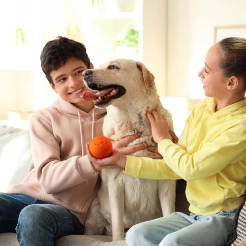 ALL FOR PAWS Interactive Dog Toy, Smart Moving Ball with 2 Play Modes, E-TPU Material, USB Rechargeable Motion-Activated Bouncing Ball for Medium Large Dogs, Automatic Rolling Keeps Dog Busy - color: Orange Ball
