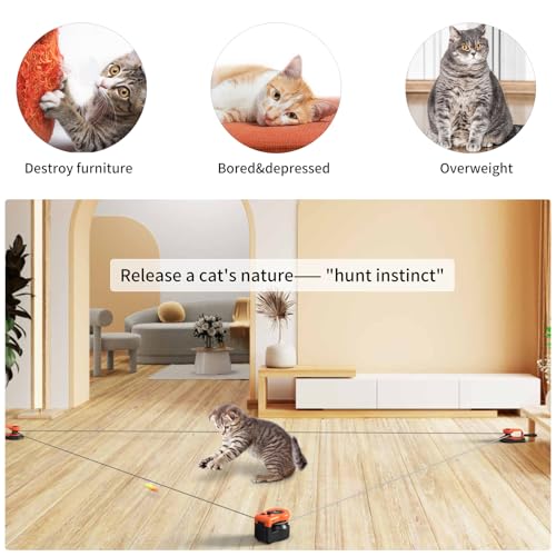 AsFrost Interactive Cat Toy for Indoor Cats Chase/Run/Hunt/Exercise-Orange - color: Bright Orange
