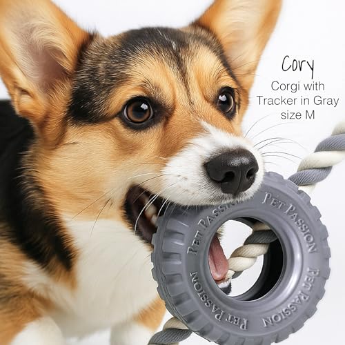 Pet Passion Natural Rubber Tire and Organic Cotton Rope Pull and Chew Dog Toy for All Pet Breeds, Black, Small - color: Black, size: Small