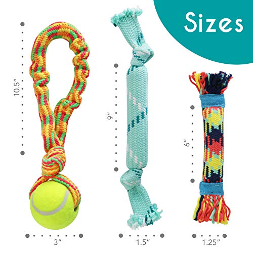 rocket & rex Puppy Rope & Tug of War Toys for Teething (3pk)