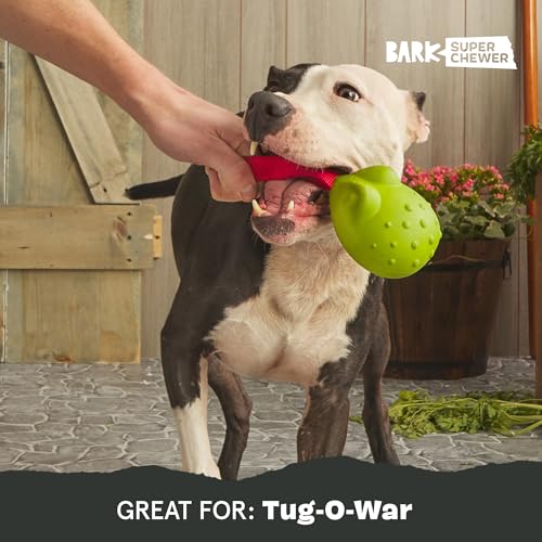 BarkBox Tug Tied Toad Dog Toy - for Large Dogs - color: Tug Tied Toad-Large
