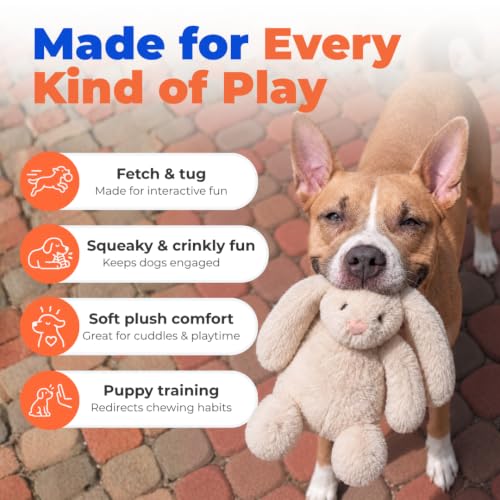 Best Pet Supplies Bunny Buddy Squeaky Plush Dog Toy - Beige, Small - color: Bunny (Beige), size: Small