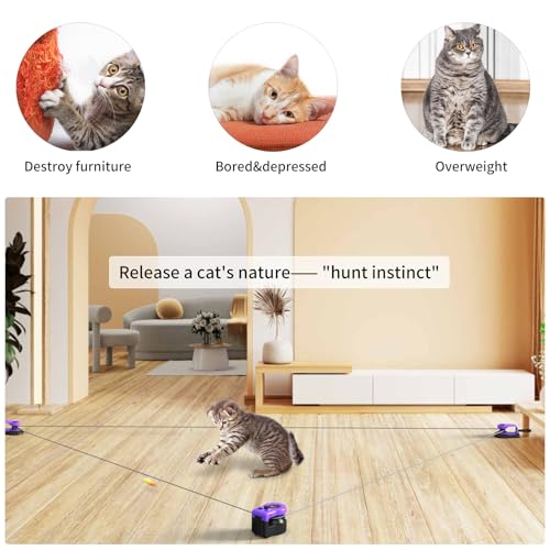 AsFrost Interactive Cat Toy for Indoor Cats Chase/Run/Hunt/Exercise-Purple - color: Elegant Purple