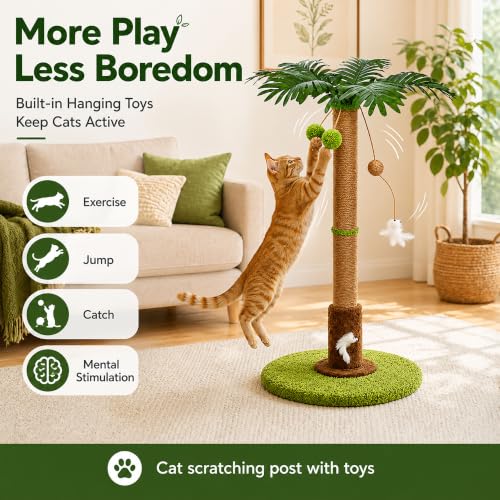RPZ Cat Scratching Post, Sisal Scratcher with Toys for Indoor Cats