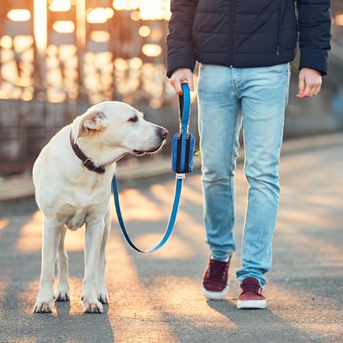 Dog Poop Bag Holder for Leashes and Treat Holder with 2 Waterproof Pouches - color: Purple