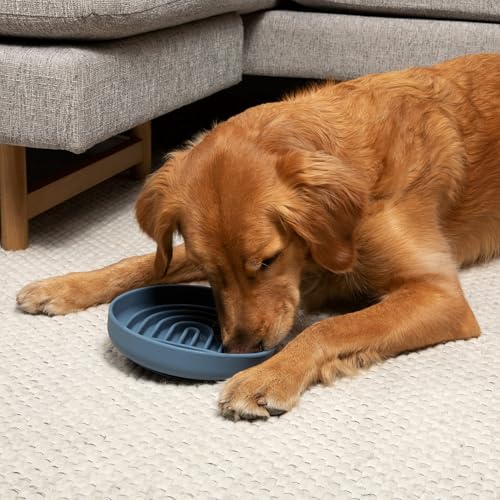 Slow Feeder Dog Bowl - Silicone Dog Bowl, Large, 9.5" x 1.5" - Ocean - color: Ocean - Rainbow Design, size: Large (9.5” Across and 1.5” Tall)
