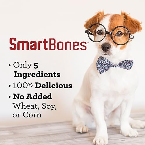 SmartBones Protein Rings Rawhide-Free Dog Treats, Real Chicken, 5 oz - size: 5 Ounce (Pack of 1)