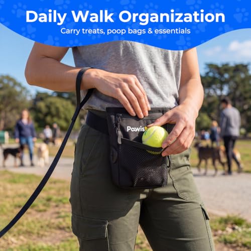 Dog Treat Pouch for Pet Training, One-Hand Magnetic Closure, Hands-Free Treat Bag with Silicone Liner, No Mess No Smell - color: Obsidian Black