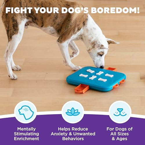 Outward Hound Nina Ottosson Dog Casino Dog Toy Treat Puzzle, 14" - color: Dog Casino (Blue, Orange), size: 1 Count (Pack of 1)