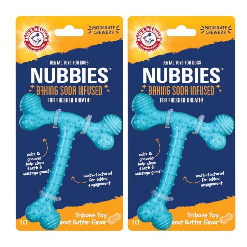 Arm & Hammer Nubbies T-Bone Dental Dog Chew Toy, Peanut Butter Flavor, 2-Pk - color: Blue T-Bone, size: 2 Count