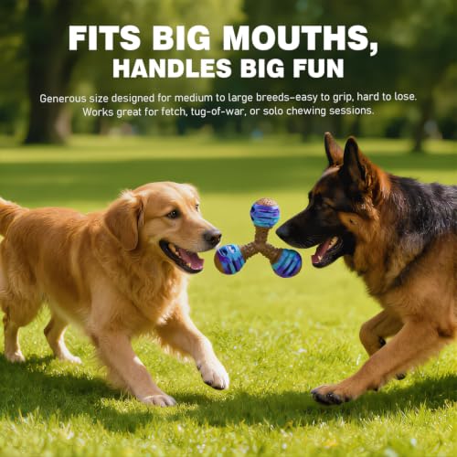MECOOL Durable Dog Chew Toys for Medium Dogs - Squeaky Rubber Balls with Nylon Reinforcement, Interactive Lick & Chew Toy for Aggressive Chewers, Pet Teething Toy Blue,Bacon Flavored - color: Blue