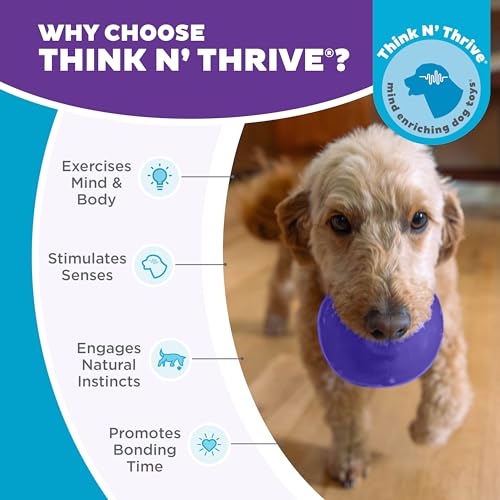 Outward Hound Lil' Snoop Interactive Treat Dispensing Dog Toy, Purple, 3.9" - color: Purple Lil Snoop