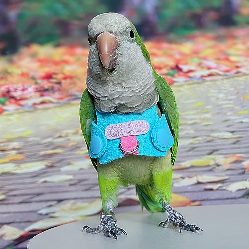 Bird Flight Harness Vest, Parrot Flight Suit with Leash for Parakeets Cockatiels Conures Budgies, Bird Flying Clothes with Rope and Handle for Outdoor Activities Training, Anti Bite (M) - size: M