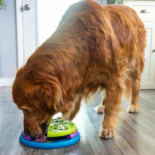 Outward Hound Nina Ottosson Lickin’ Layers 3-in-1 Dog Toy Treat Puzzle, 10" - color: Lickin Layers (Green, Purple, Blue)