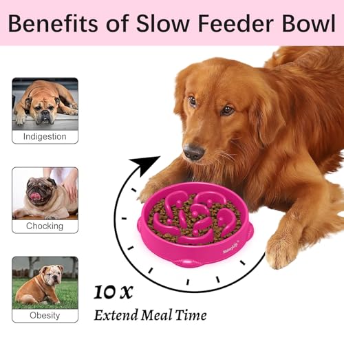 MateeyLife 1-Pack Slow Feeder Dog Bowls, 4 Cups, Dog Puzzle Feeder Bowl - color: J-Purple, size: Large