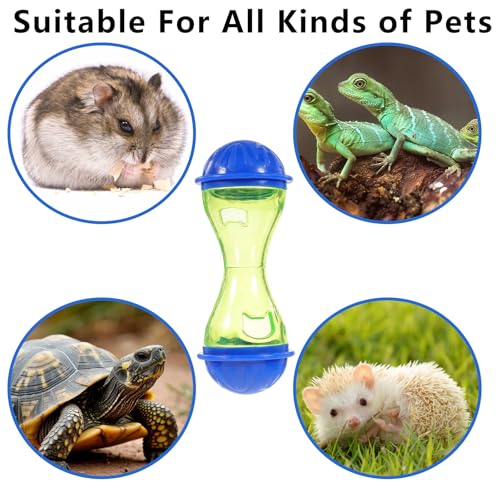 7 pcs Breaded Dragon Toys Set, Lizard Feed Balls Enrichment Toy Skateboard